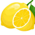 4 pack Lemon Bottle